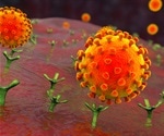 Structural protein vimentin facilitates SARS-CoV-2 entry into endothelial cells