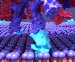 Mechanism of fatty-acid coupled adaptive immunity in SARS-CoV-2 revealed