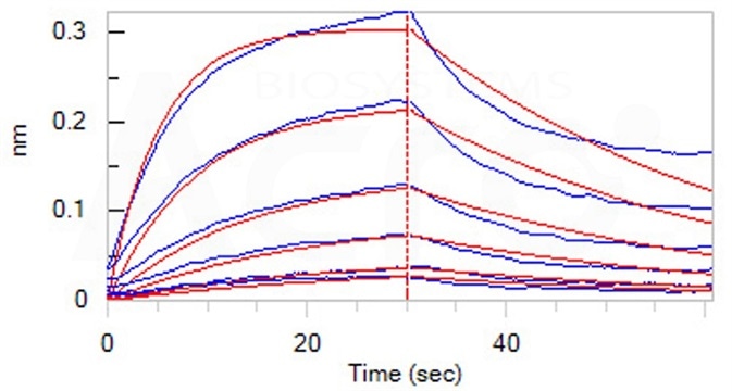 Loaded Human IL-6 R alpha, Fc Tag (Cat. No. ILR-H5259) on Protein A Biosensor, can bind ActiveMax® Human IL-6, Tag Free (Cat. No. IL6-H4218) with an affinity constant of 35.9 nM as determined in BLI assay (ForteBio Octet Red96e). Loaded Human IL-6 R alpha, Fc Tag (Cat. No. ILR-H5259) on Protein A Biosensor, can bind ActiveMax® Human IL-6, Tag Free (Cat. No. IL6-H4218) with an affinity constant of 35.9 nM as determined in BLI assay (ForteBio Octet Red96e).