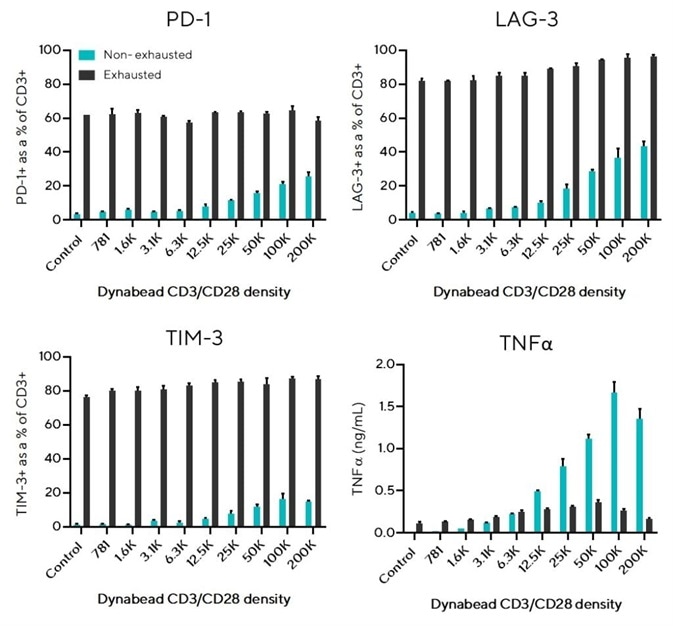 Exhausted T cells overexpress inhibitory receptors and produce low concentrations of effector cytokine TNFα. Exhausted T cells overexpress inhibitory receptors and produce low concentrations of effector cytokine TNFα.