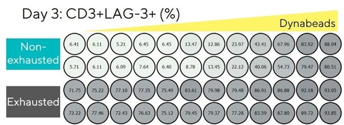 Exhausted T cells overexpress inhibitory receptors and produce low concentrations of effector cytokine TNFα. LAG-3 overexpression persists on exhausted T cells over 3 days.