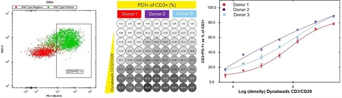 Pre-determined gates on iQue Forecyt® enable automatic phenotyping of exhausted T cell subsets. Pre-determined gates on iQue Forecyt® enable automatic phenotyping of exhausted T cell subsets.