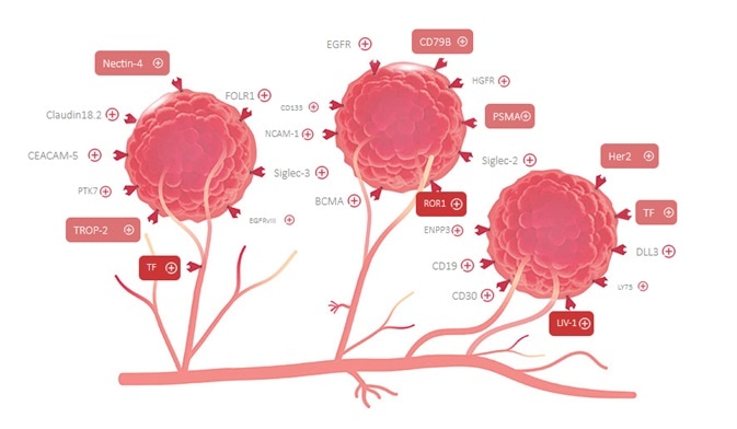 Charting recent advances in PSMA-targeted therapy for prostate cancer Charting recent advances in PSMA-targeted therapy for prostate cancer