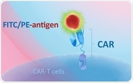 Charting recent advances in PSMA-targeted therapy for prostate cancer Charting recent advances in PSMA-targeted therapy for prostate cancer