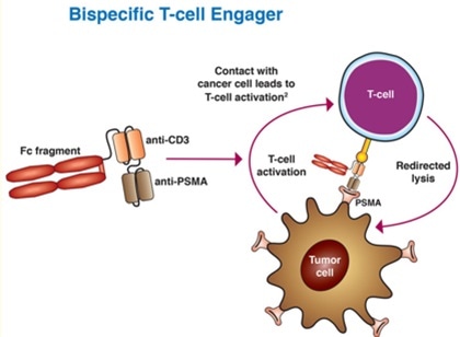 Charting recent advances in PSMA-targeted therapy for prostate cancer Charting recent advances in PSMA-targeted therapy for prostate cancer