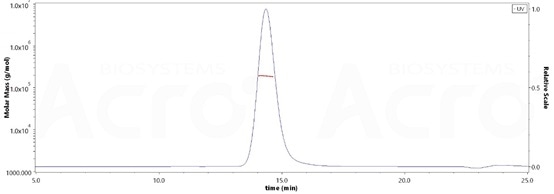 The purity of Rat PSMA, His Tag (Cat. No. PSA-R5245) is more than 90% and the molecular weight of this protein is around 170-208 kDa verified by SEC-MALS. The purity of Rat PSMA, His Tag (Cat. No. PSA-R5245) is more than 90% and the molecular weight of this protein is around 170-208 kDa verified by SEC-MALS.