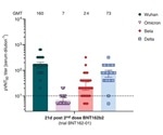 Omicron-specific antibodies help with Omicron-based and polyvalent vaccine R&D