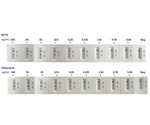 Gram-level supply and production of Omicron antigens and antibodies