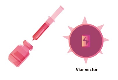 COVID-19 vaccines: An overview COVID-19 vaccines: An overview