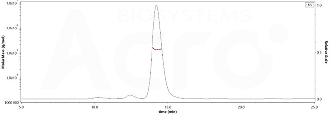 The purity of Human PD-1, Fc Tag, low endotoxin (Cat. No. PD1-H5257) was more than 90% and the molecular weight of this protein is around 105-145 kDa verified by SEC-MALS. The purity of Human PD-1, Fc Tag, low endotoxin (Cat. No. PD1-H5257) was more than 90% and the molecular weight of this protein is around 105-145 kDa verified by SEC-MALS.