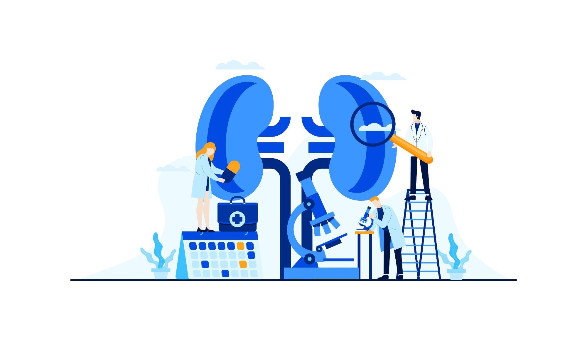 Kidney Research