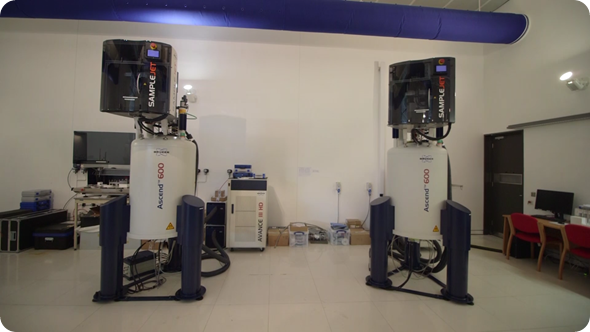 AVANCE-IVDr Bruker