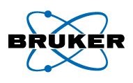 Bruker Logo
