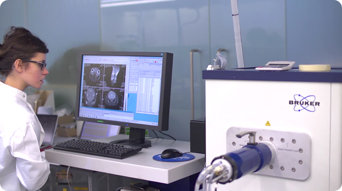 Bruker MRI
