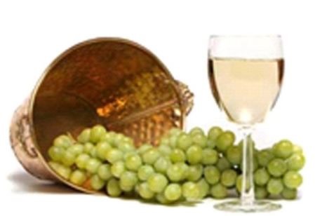 Bruker Wine