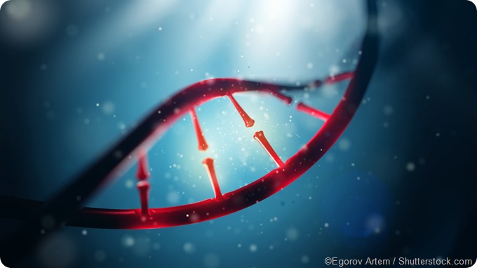 DNA