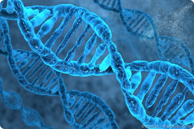 DNA