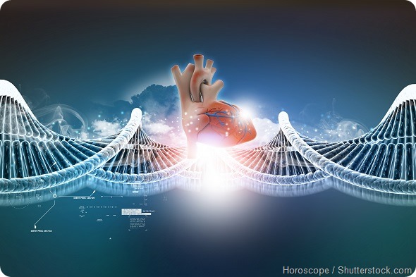 DNA Heart
