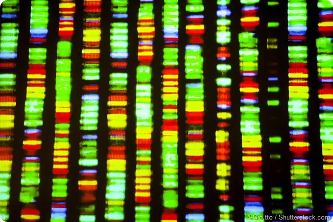 DNA sequencing