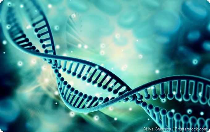 DNA structure