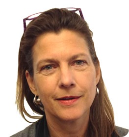 Heidi Larson BIG