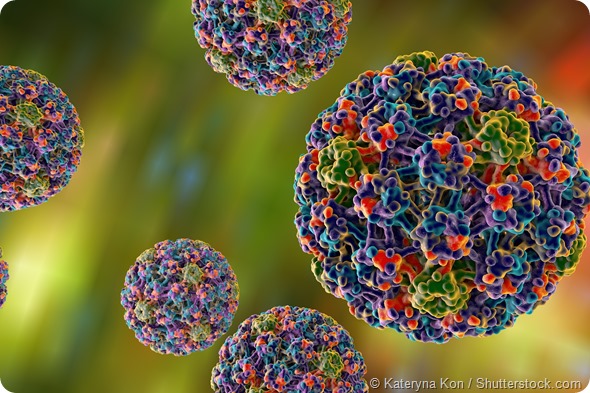 Human Papillomavirus type 16 which causes cancer of cervix of uteri on colorful background (HPV). A model is built using data of viral macromolecular structure from Protein Data Bank (PDB 3J6R)