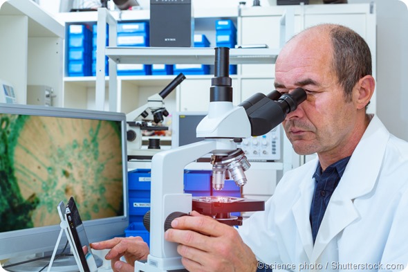 Light microscopy
