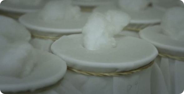 Malaria photo 4