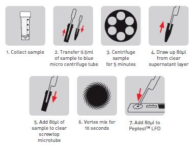 Peptest 4