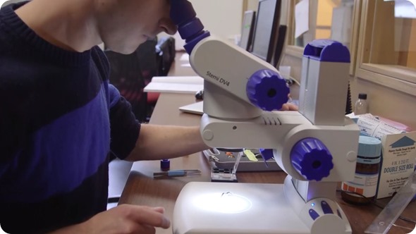Bruker Microscope