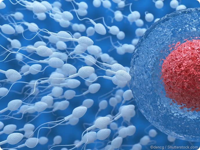 Sperm and Ovum