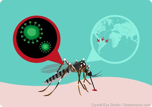 Zika Virus Outbreak