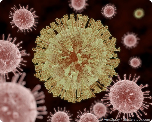 An illustration of the Zika Virus, which symptoms include mild headaches, maculopapular rash, fever, malaise, conjunctivitis, and arthralgia