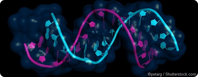 microRNA
