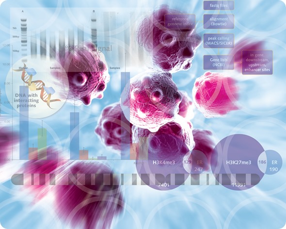 cancer cell
