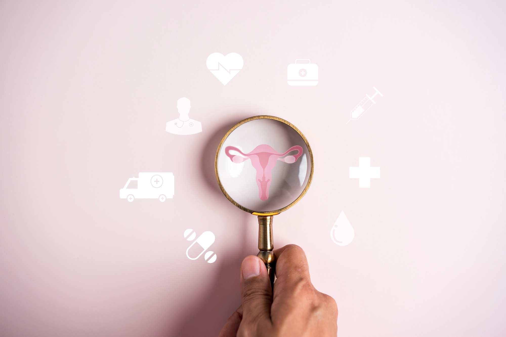 uterus female reproductive system, women health, PCOS.
