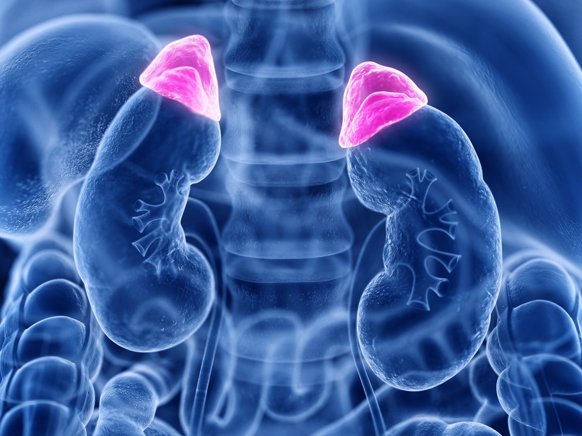 Image Credit: SciePro/Shutterstock