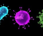What is a Virus?