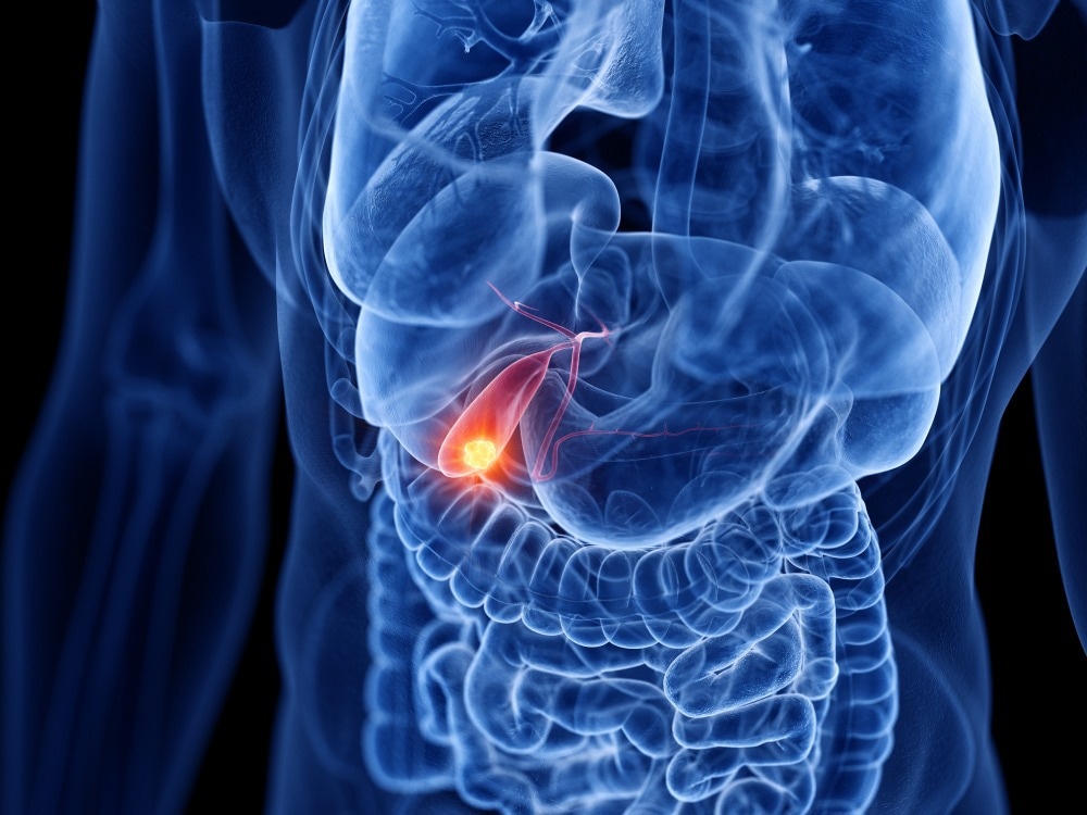 Image Credit: SciePro/Shutterstock.com