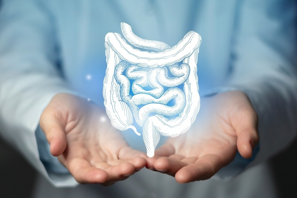 Image Credit: mi_viri/Shutterstock.com