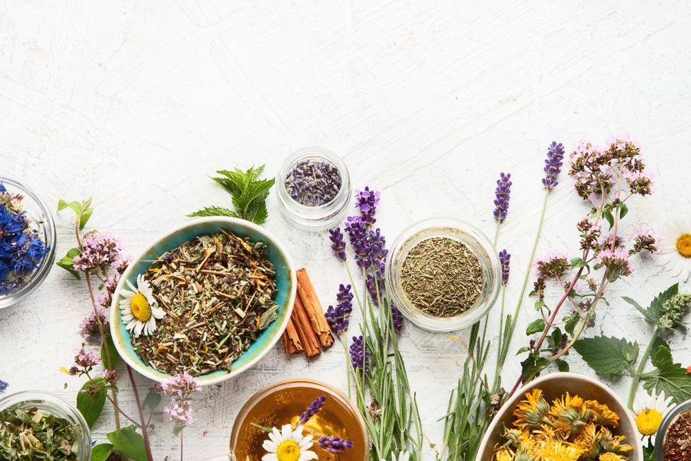 Herbal Medicines
