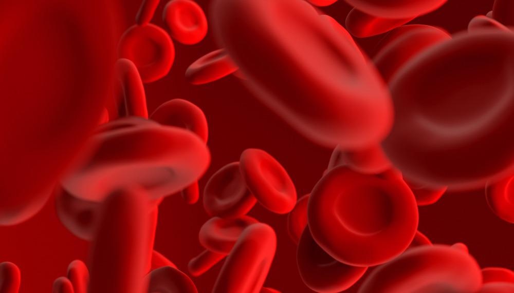Red Blood Cells