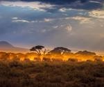 Biochemistry in Wildlife Treatment