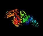 What is Taq Polymerase?