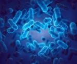 When ‘Good’ Bacteria Go ‘Bad’