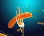 Could there be a Salmonella Vaccine?