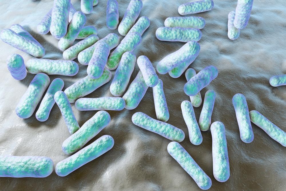 Bacteria