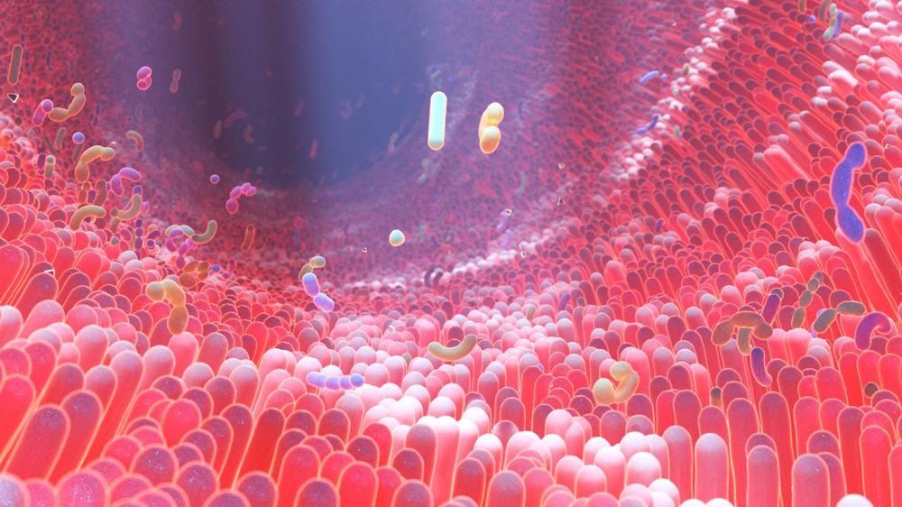 The microbiome. microbiome