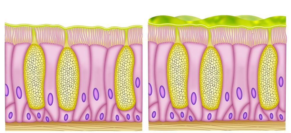Mucus