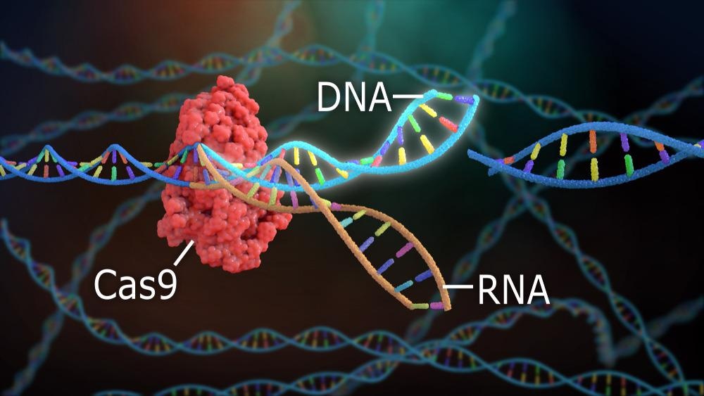 CRISPR-Cas